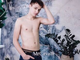 MrCavalli