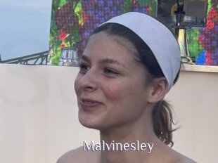 Malvinesley
