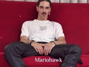 Mariohawk