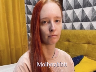 Mollyrabbit