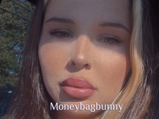 Moneybagbunny