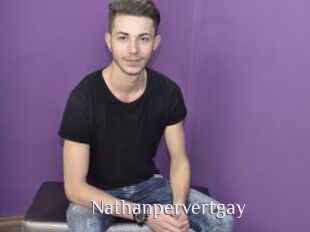 Nathanpervertgay