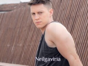 Neilgaviria