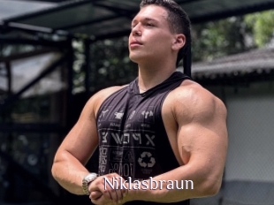 Niklasbraun