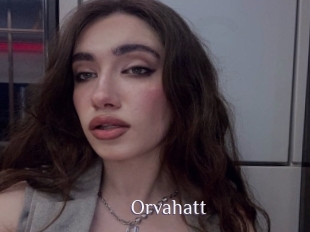 Orvahatt