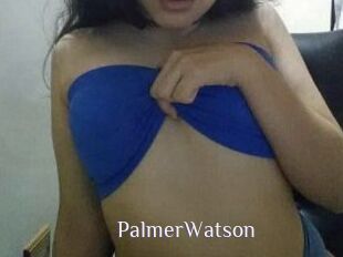 PalmerWatson