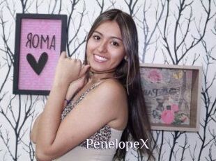 PenelopeX