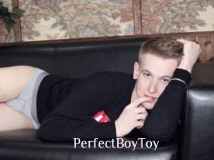 PerfectBoyToy