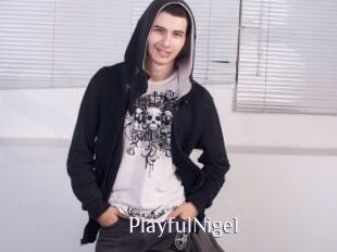 PlayfulNigel