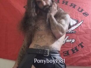 Ponyboy1981