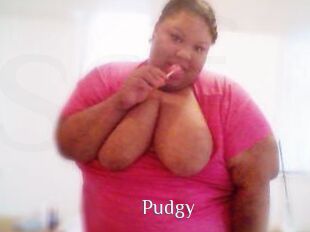 Pudgy