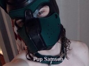 Pup_Samson