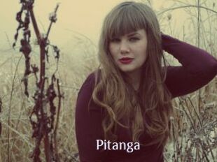 Pitanga
