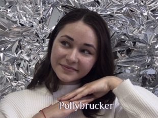 Pollybrucker