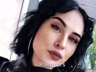 Pollymurs
