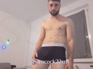 Porncock22cm
