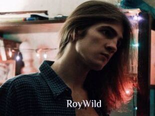 RoyWild