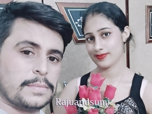 Rajuandsumi