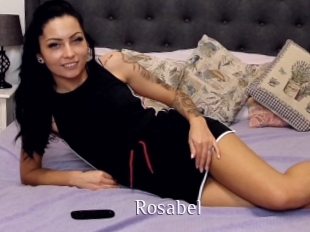 Rosa_bel