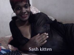 Sash_kitten