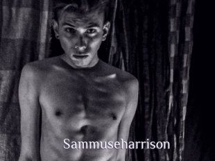Sammuseharrison