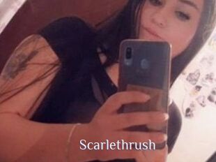 Scarlethrush