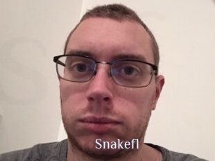 Snakefl
