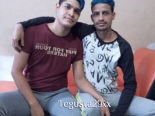 Tegusta29xx