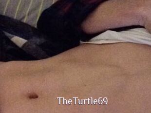 TheTurtle69