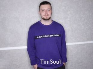 TimSoul