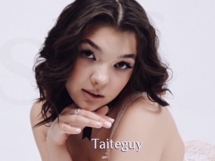 Taiteguy