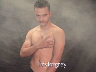Teylorgrey
