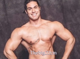 Thebig22cm