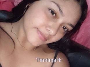 Tinnimark