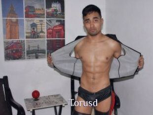 Torusd