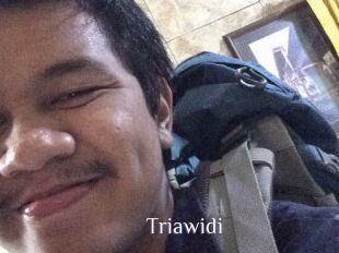 Triawidi