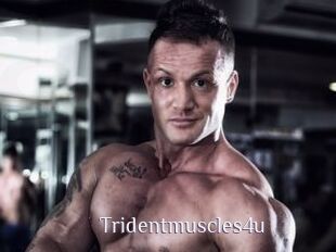 Tridentmuscles4u