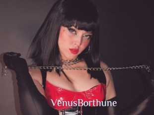 VenusBorthune