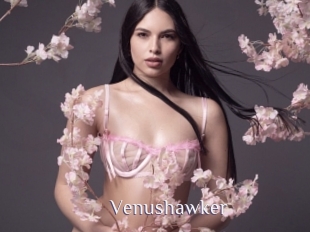 Venushawker
