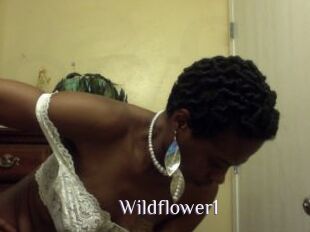 Wildflower1