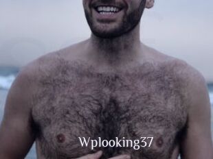 Wplooking37
