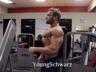 YoungSchwarz