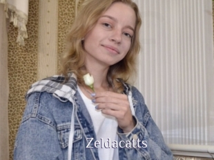 Zeldacatts